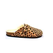 Blogg leopard Plakton 